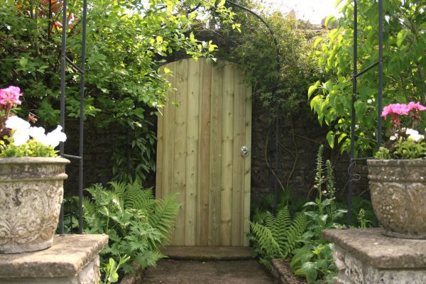 Curved Top Gate