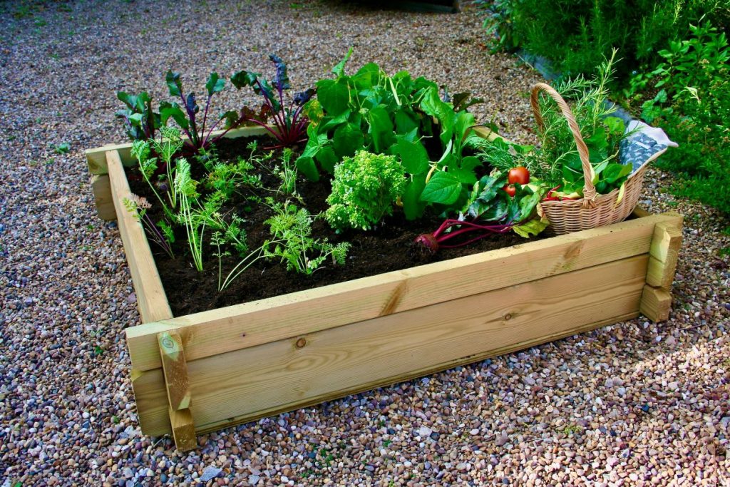 Large Raised Bed Kit Severn Valley Woodworks