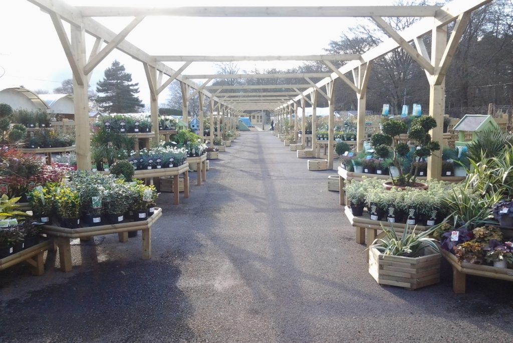 Plant Display Stands