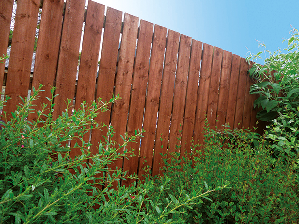 Tanatone treated brown fence