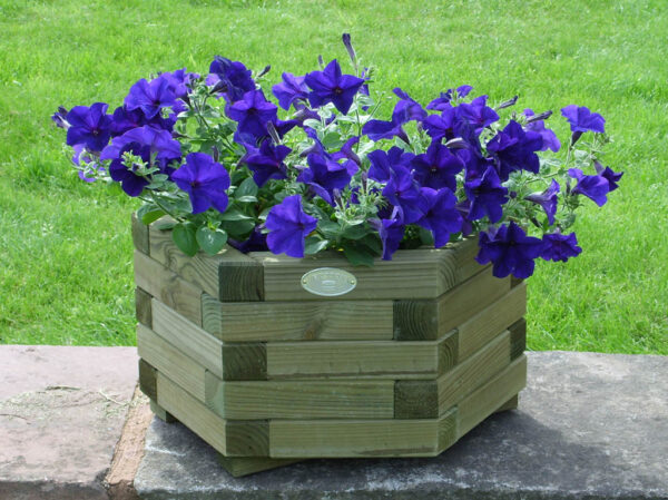 Small Hexagonal Planter