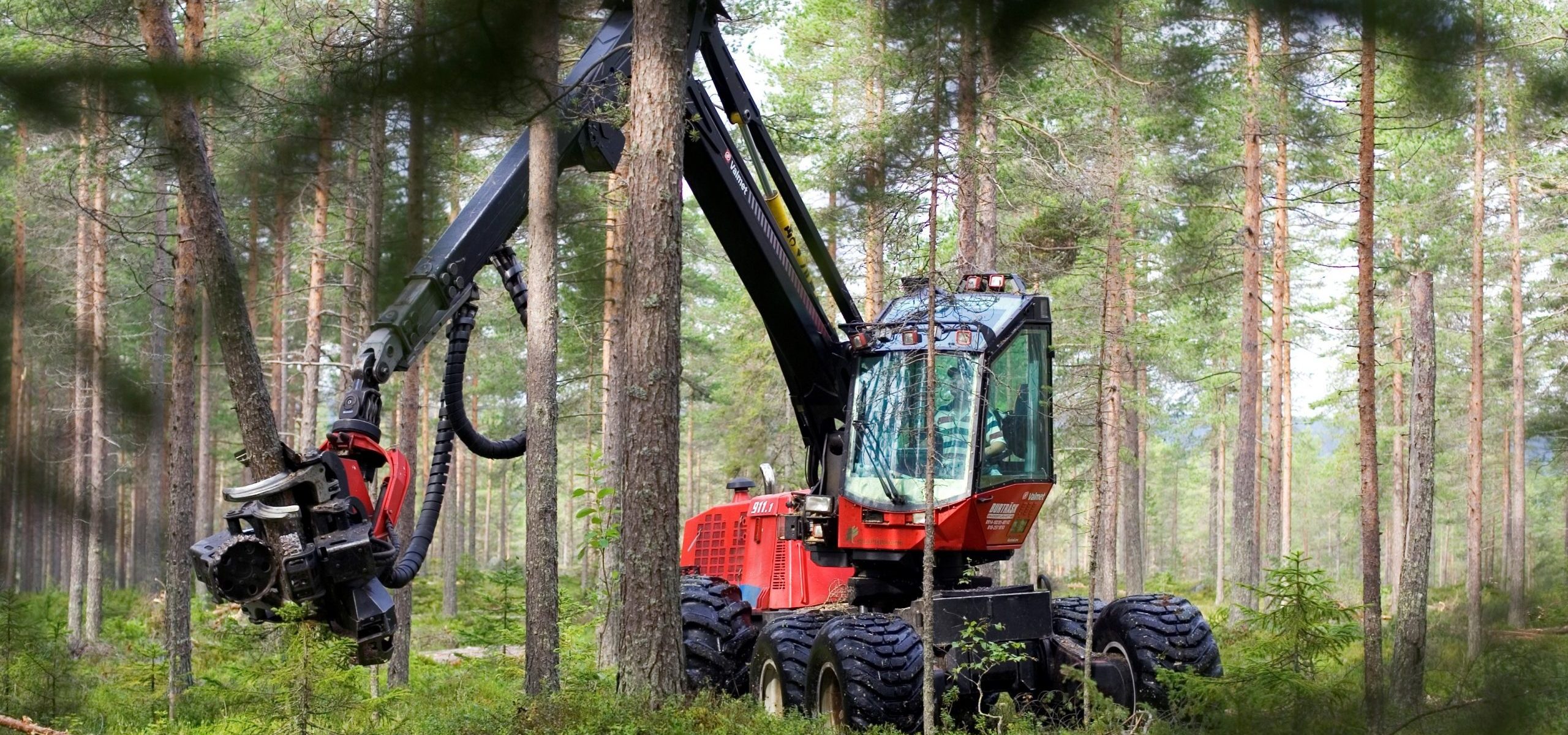 Martinsons Trä, Bygdsiljum